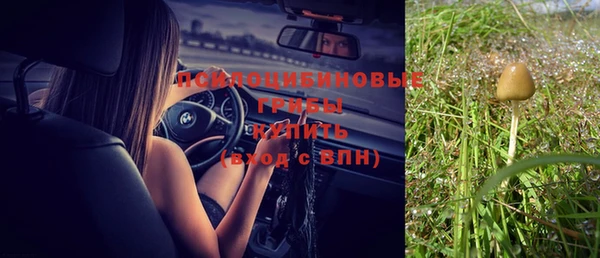 дмт Алексин