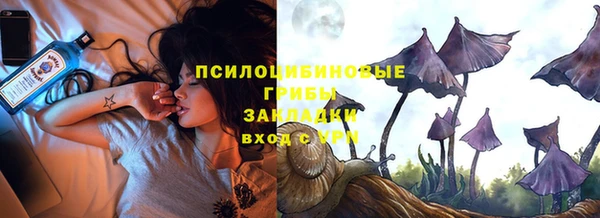 дмт Алексин