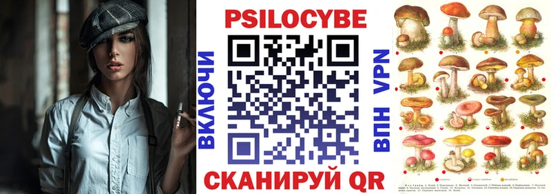 Псилоцибиновые грибы мицелий Долинск