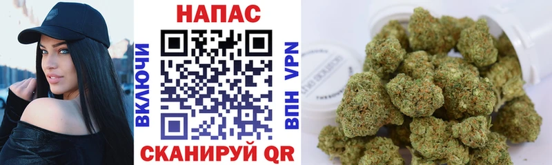 Бошки марихуана Amnesia купить наркотики цена Долинск